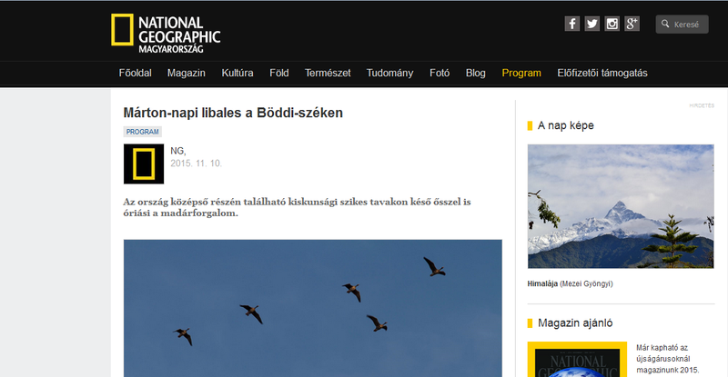 Márton-napi libales a Böddi-széken - National Geographic