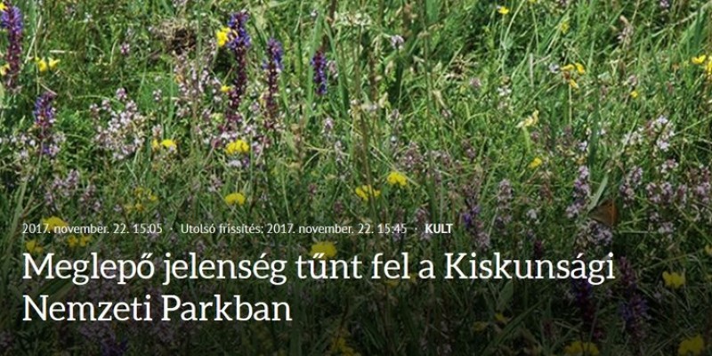 Meglepő jelenség tűnt fel a Kiskunsági Nemzeti parkban - hvg.hu