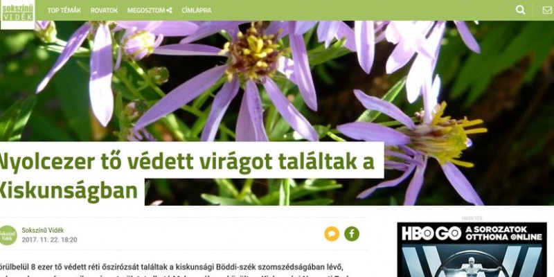 8 ezer tő védett virágot találtak a Kiskunságban - sokszinuvidek.hu