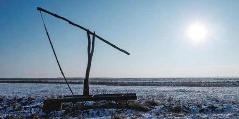 Gémeskutak újratöltve - Uniós támogatás a marhák, juhok, szamarak természetvédelmi legeltetéséhez  - szabadfold.hu