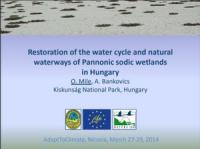 Mile, O, Bankovics, A. (2014): Restoration of the water cycle and natural waterways of Pannonic sodic wetlands in Hungary. 