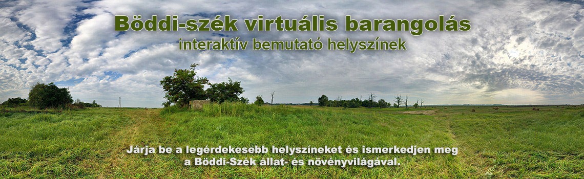 Böddi-szék virtuális barangolás