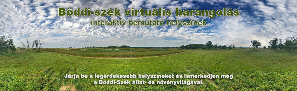 Böddi-szék virtuális barangolás