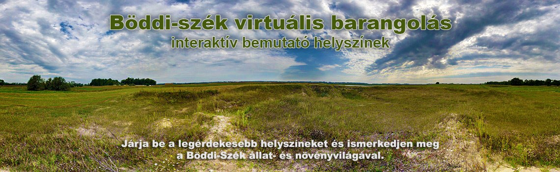 Böddi-szék virtuális barangolás