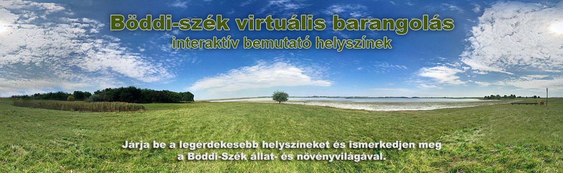 Böddi-szék virtuális barangolás