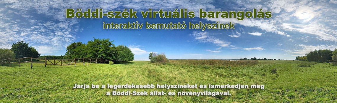 Böddi-szék virtuális barangolás